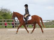 Image 13 in DRESSAGE. BROADLAND EQUESTRIAN CENTRE. 11 MAY 2019