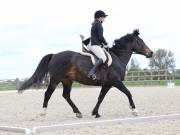 Image 132 in DRESSAGE. BROADLAND EQUESTRIAN CENTRE. 11 MAY 2019