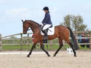 Image 14 in DRESSAGE. BROADLAND EQUESTRIAN CENTRE. 11 MAY 2019