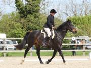 Image 140 in DRESSAGE. BROADLAND EQUESTRIAN CENTRE. 11 MAY 2019
