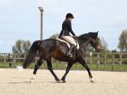 Image 141 in DRESSAGE. BROADLAND EQUESTRIAN CENTRE. 11 MAY 2019