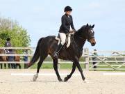 Image 142 in DRESSAGE. BROADLAND EQUESTRIAN CENTRE. 11 MAY 2019