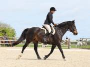 Image 152 in DRESSAGE. BROADLAND EQUESTRIAN CENTRE. 11 MAY 2019