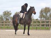 Image 153 in DRESSAGE. BROADLAND EQUESTRIAN CENTRE. 11 MAY 2019