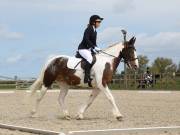 Image 17 in DRESSAGE. BROADLAND EQUESTRIAN CENTRE. 11 MAY 2019