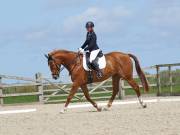 Image 18 in DRESSAGE. BROADLAND EQUESTRIAN CENTRE. 11 MAY 2019