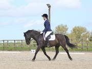 Image 20 in DRESSAGE. BROADLAND EQUESTRIAN CENTRE. 11 MAY 2019