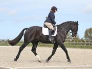 Image 23 in DRESSAGE. BROADLAND EQUESTRIAN CENTRE. 11 MAY 2019