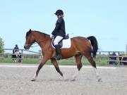 Image 25 in DRESSAGE. BROADLAND EQUESTRIAN CENTRE. 11 MAY 2019