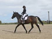Image 32 in DRESSAGE. BROADLAND EQUESTRIAN CENTRE. 11 MAY 2019