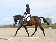 Image 33 in DRESSAGE. BROADLAND EQUESTRIAN CENTRE. 11 MAY 2019