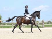 Image 47 in DRESSAGE. BROADLAND EQUESTRIAN CENTRE. 11 MAY 2019