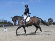 Image 68 in DRESSAGE. BROADLAND EQUESTRIAN CENTRE. 11 MAY 2019