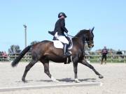 Image 73 in DRESSAGE. BROADLAND EQUESTRIAN CENTRE. 11 MAY 2019