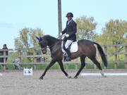 Image 74 in DRESSAGE. BROADLAND EQUESTRIAN CENTRE. 11 MAY 2019