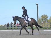 Image 80 in DRESSAGE. BROADLAND EQUESTRIAN CENTRE. 11 MAY 2019