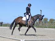 Image 81 in DRESSAGE. BROADLAND EQUESTRIAN CENTRE. 11 MAY 2019