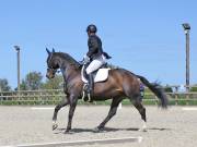 Image 86 in DRESSAGE. BROADLAND EQUESTRIAN CENTRE. 11 MAY 2019
