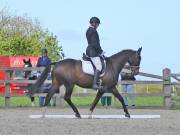 Image 87 in DRESSAGE. BROADLAND EQUESTRIAN CENTRE. 11 MAY 2019