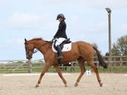 Image 9 in DRESSAGE. BROADLAND EQUESTRIAN CENTRE. 11 MAY 2019