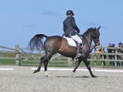 Image 96 in DRESSAGE. BROADLAND EQUESTRIAN CENTRE. 11 MAY 2019