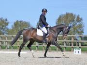 Image 97 in DRESSAGE. BROADLAND EQUESTRIAN CENTRE. 11 MAY 2019