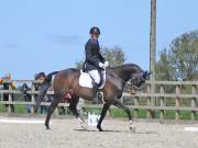 Image 99 in DRESSAGE. BROADLAND EQUESTRIAN CENTRE. 11 MAY 2019