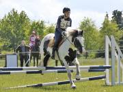 Image 160 in GELDESTON HALL EVENTER CHALLENGE. 12 MAY 2019