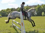 Image 207 in GELDESTON HALL EVENTER CHALLENGE. 12 MAY 2019