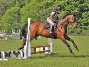 Image 27 in GELDESTON HALL EVENTER CHALLENGE. 12 MAY 2019