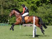 Image 31 in GELDESTON HALL EVENTER CHALLENGE. 12 MAY 2019