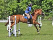 Image 50 in GELDESTON HALL EVENTER CHALLENGE. 12 MAY 2019