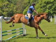 Image 93 in GELDESTON HALL EVENTER CHALLENGE. 12 MAY 2019