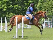 Image 94 in GELDESTON HALL EVENTER CHALLENGE. 12 MAY 2019