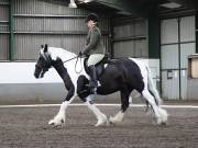 Image 10 in NEWTON HALL EQUITATION. DRESSAGE. 26 MAY 2019.