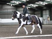 Image 11 in NEWTON HALL EQUITATION. DRESSAGE. 26 MAY 2019.