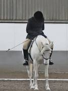 Image 113 in NEWTON HALL EQUITATION. DRESSAGE. 26 MAY 2019.