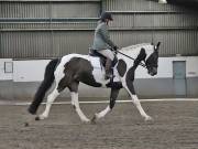 Image 12 in NEWTON HALL EQUITATION. DRESSAGE. 26 MAY 2019.