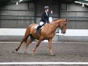 Image 13 in NEWTON HALL EQUITATION. DRESSAGE. 26 MAY 2019.