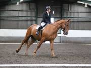 Image 13 in NEWTON HALL EQUITATION. DRESSAGE. 26 MAY 2019.