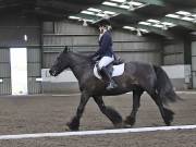 Image 133 in NEWTON HALL EQUITATION. DRESSAGE. 26 MAY 2019.