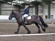Image 134 in NEWTON HALL EQUITATION. DRESSAGE. 26 MAY 2019.