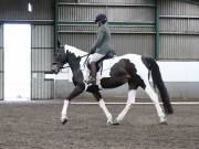 Image 16 in NEWTON HALL EQUITATION. DRESSAGE. 26 MAY 2019.