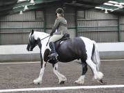 Image 173 in NEWTON HALL EQUITATION. DRESSAGE. 26 MAY 2019.