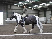 Image 175 in NEWTON HALL EQUITATION. DRESSAGE. 26 MAY 2019.