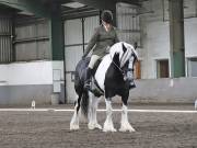 Image 176 in NEWTON HALL EQUITATION. DRESSAGE. 26 MAY 2019.