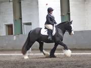 Image 181 in NEWTON HALL EQUITATION. DRESSAGE. 26 MAY 2019.