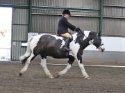 Image 197 in NEWTON HALL EQUITATION. DRESSAGE. 26 MAY 2019.