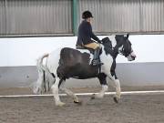 Image 199 in NEWTON HALL EQUITATION. DRESSAGE. 26 MAY 2019.