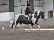 Image 202 in NEWTON HALL EQUITATION. DRESSAGE. 26 MAY 2019.